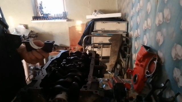 YouCut_20230212_102946165.mp4 смотреть онлайн