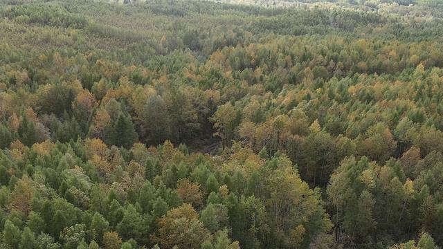 Облёт Центральный