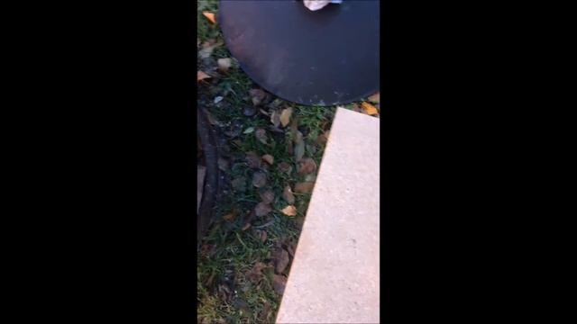 Тыквенная икра смотреть онлайн