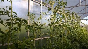 Автоматический.Термопривод -400.