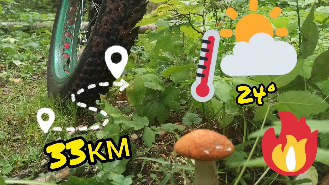 На Фэтбайке _ Хохловские берега _ Шемети _ р.Кама.