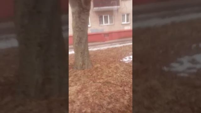 Автобус минска АТ 6379-9 маршрут 52 смотреть онлайн