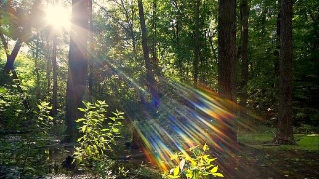 Божественное сканирование. Практика фокусировки «третьего глаза» на происходящие в мире события. смотреть онлайн