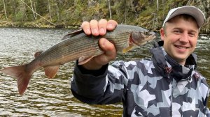 Ловля хариуса на Северном урале! Часть 1 На водомёте по Уральским рекам! Solar 520 Strela mercury 50