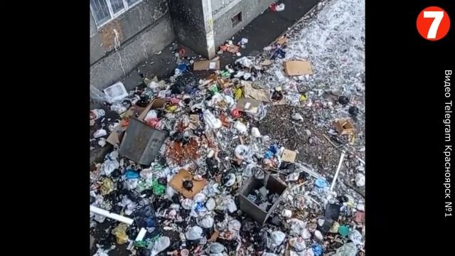 Жители общежития в Красноярске массово гадят сами себе под окна. смотреть онлайн