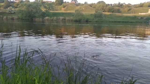 На Оку за линём смотреть онлайн