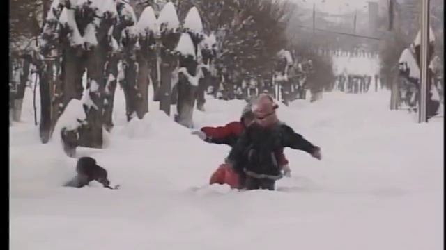 Осторожно, ГРИПП! смотреть онлайн