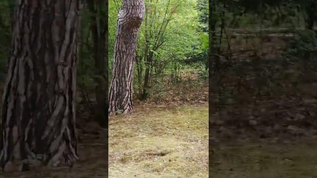 Наша немецкая дача смотреть онлайн
