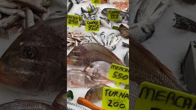 Великое разнообразие! Рыба ? в Турции. смотреть онлайн