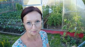 Видео привет с 6 соток 17 июня 2023 года 2 версия с микрофоном