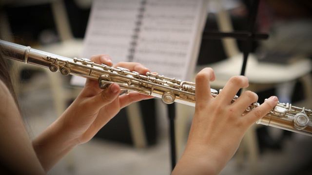 Bach - Orchestral Suite No. 2 (in B minor BWV 1067) смотреть онлайн