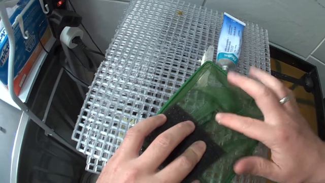 🔴 Peixes Doentes? Bactéria? Fungo? Aprenda Como Tratar e Curar De Verdade! смотреть онлайн