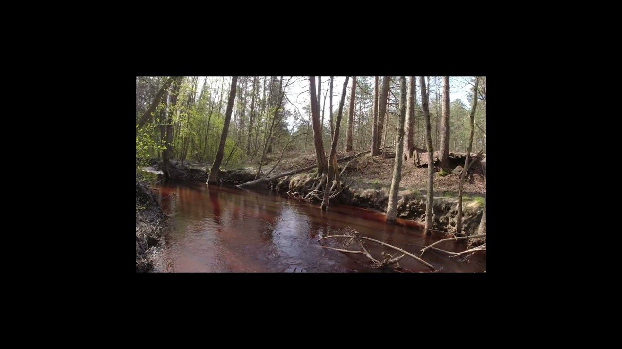 Коротко о сегодняшнем улове за 4 часа :-) смотреть онлайн