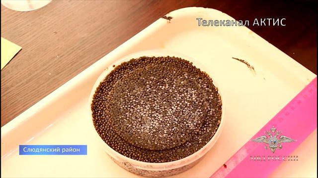 Контрабандную икру обнаружили в Слюдянке смотреть онлайн