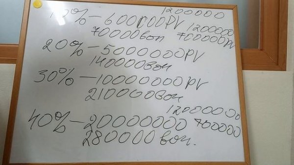 Маркетинг компании NADYON GLOBAL ???