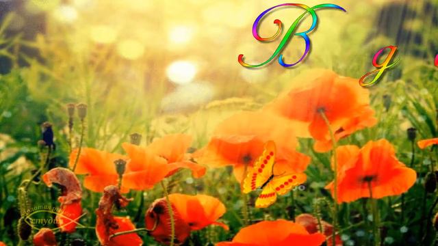 МАКОВОЕ ПОЗДРАВЛЕНИЕ С ДНЕМ РОЖДЕНИЯ! смотреть онлайн