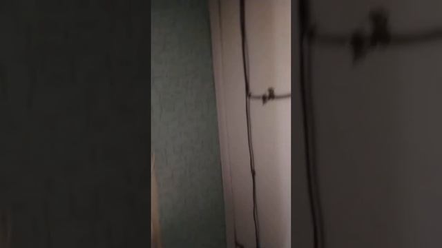 Фирма электрик (наши работы) работаем в городе Брянске и области. Наш тел 89532801701 и 89102381977 смотреть онлайн