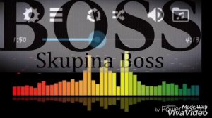 Skupina boss 2017 DESPASITO