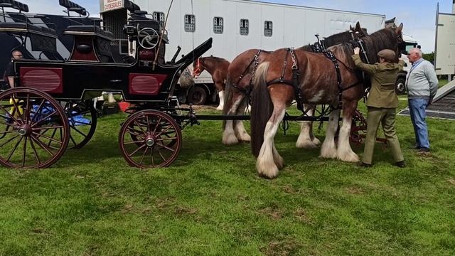 Праздник в Англии.5 смотреть онлайн