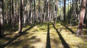 Компас. Определение времени по тени