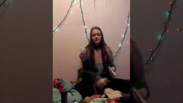 ЧТО НУЖНО ДЛЯ ПОЯВЛЕНИЯ ЩЕНКА ЙОРКА В ДОМЕ ?? смотреть онлайн