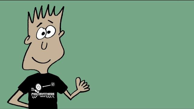 The Photosynthesis Song | Mister C (Song #8) смотреть онлайн