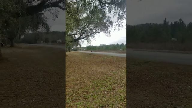 Honda Valkyrie take off смотреть онлайн
