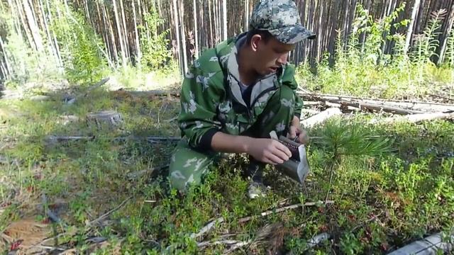 СБОР БРУСНИКИ. АВГУСТ 2020. смотреть онлайн