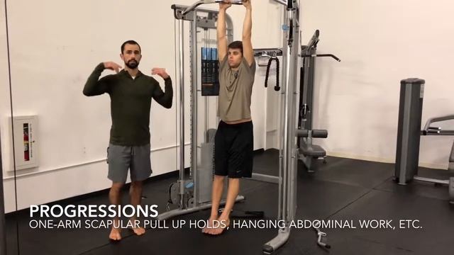 Scapular Pull Up Hold (Passive & Active) - Slow Iso Holds смотреть онлайн