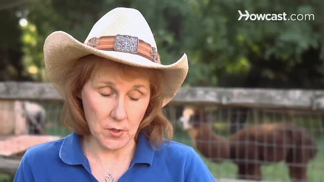 Pros & Cons of Having a Pet Rabbit | Small Pets смотреть онлайн