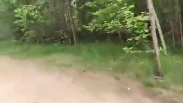 Румболовский парк и ждановское озеро видео смотреть онлайн