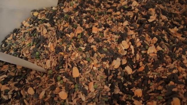 Mixing Our Own Whole Grain Soy-Free Chicken Feed, How-To, Cost, Storage & Calculator to Mix Your Ow смотреть онлайн