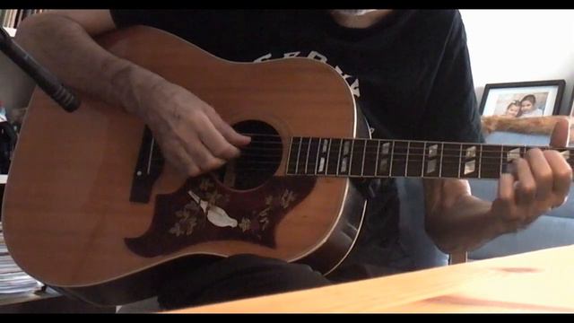 Bright Angel / Gibson dove смотреть онлайн