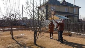 Весенняя обрезка и обработка деревьев и кустарников // Дачники - Абакан 24