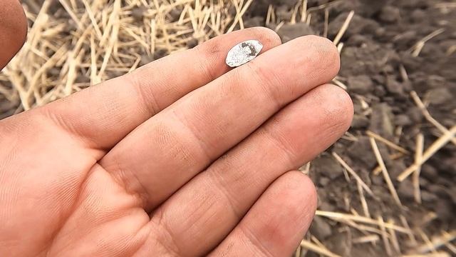 ПОПАЛ НА ДОМИК С ПЕТРОВСКИМИ МОНЕТАМИ! Коп монет и древности лето 2021 смотреть онлайн
