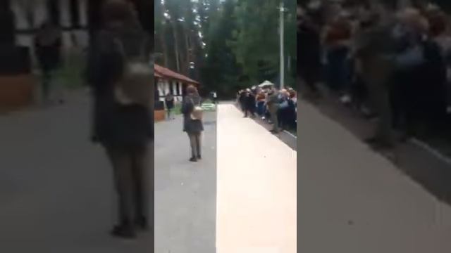 Арсений Попов на фестивале невест 02.09.18 смотреть онлайн