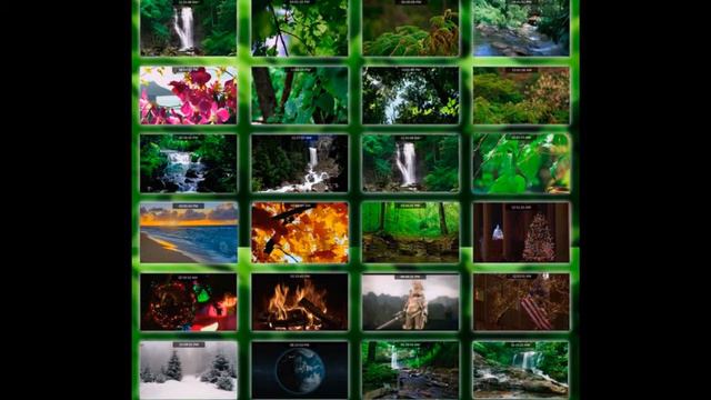 Звуки природы Тропический лес часть 3 смотреть онлайн