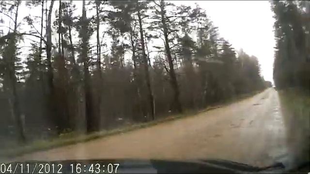 Партизанские тропы 2012 11 04 смотреть онлайн