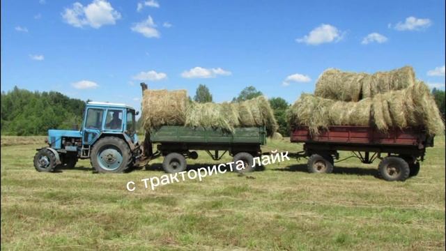 21 августа 2023 г. смотреть онлайн