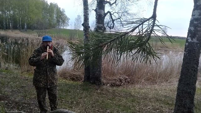 El Condor Pasa на блокфлейте-сопрано. El Condor Pasa on the soprano recorder. смотреть онлайн