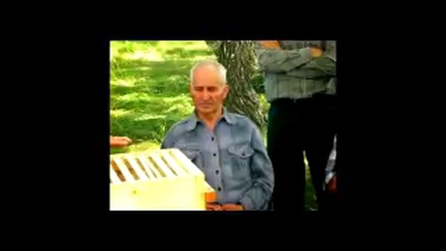 В Г Кашковский на канале Воронеж Пчеловодство 23 01 2019 смотреть онлайн