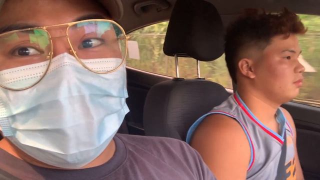 FIDDLE LEAF PLANT SOBRANG MURA!!! смотреть онлайн