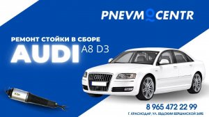 Ремонт амортизатора и стойки в сборе Audi A8 D3 (Ауди А8 Д3)