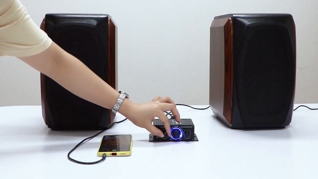 AK170 Mini Digital Audio Car Amplifier Stereo Audio Amp for Home Theater Club Party Music 200W x2 смотреть онлайн