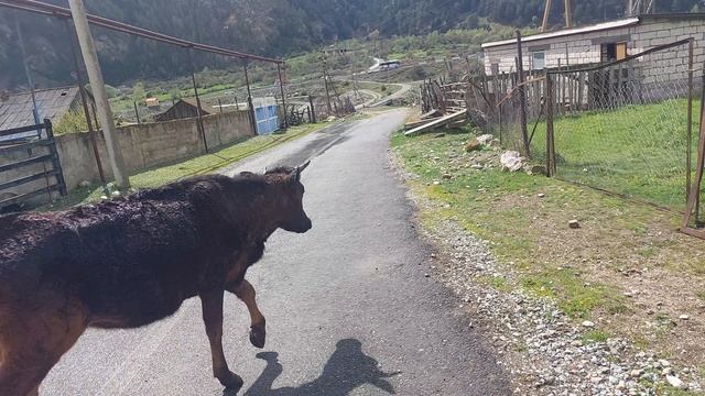 Приэльбрусье 30