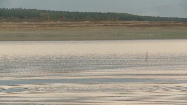 С мач на яз. Пясъчник / Match fishing for carassius смотреть онлайн