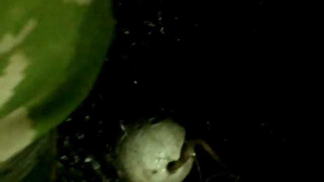 Ловля Омуля река лена с Жиганск смотреть онлайн