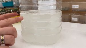 Щавелевая кислота. Как её использовать и зачем.