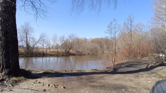 Звуки природы. Малая Кокшага у Дубовой рощи смотреть онлайн