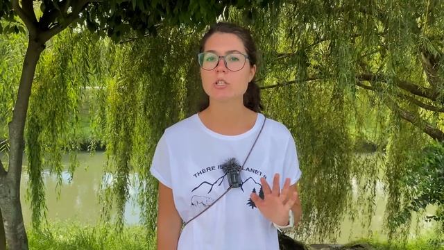 GREEN CARD! ДЕЛАЕМ ФОТО ДЛЯ УЧАСТИЯ САМИ! ИНСТРУКЦИЯ, ТРЕБОВАНИЯ! ПРОВЕРКА ПОСЛЕ ФОТОСАЛОНА! DV-202 смотреть онлайн